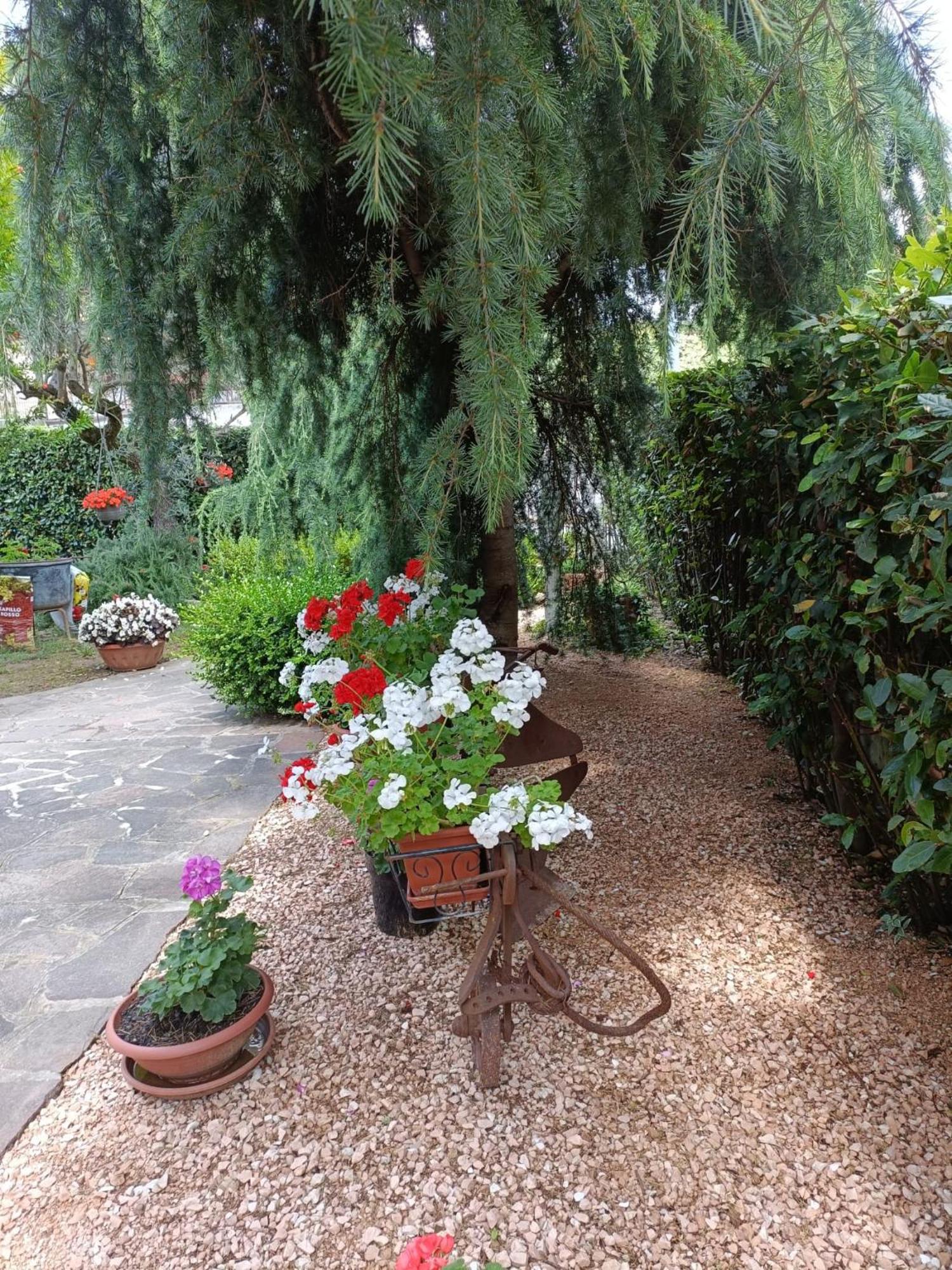 Recanati Family Exteriör bild