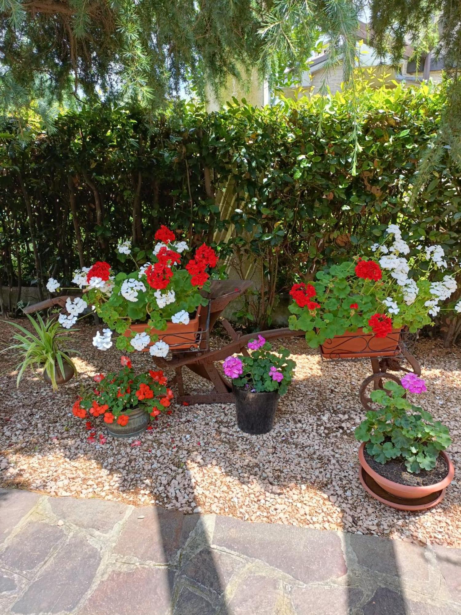 Recanati Family Exteriör bild